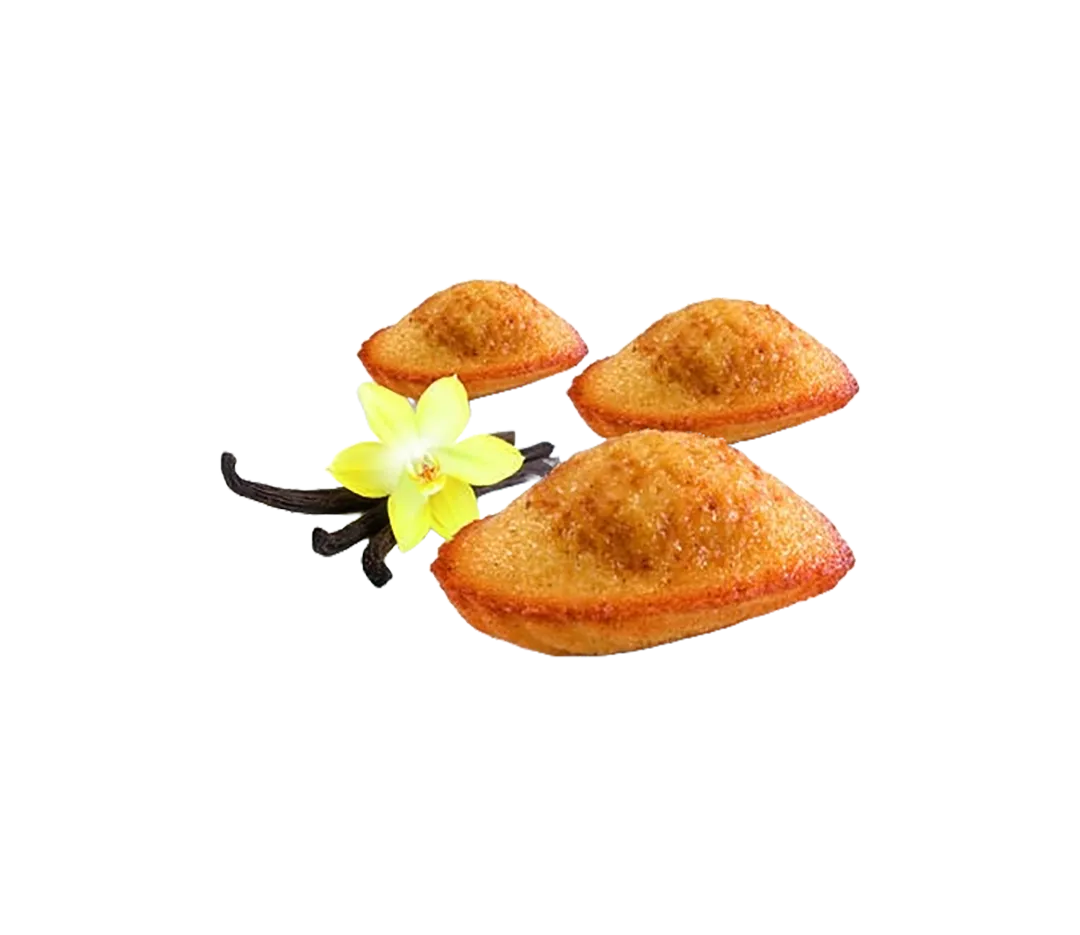 Madeleines à la vanille - 18g
