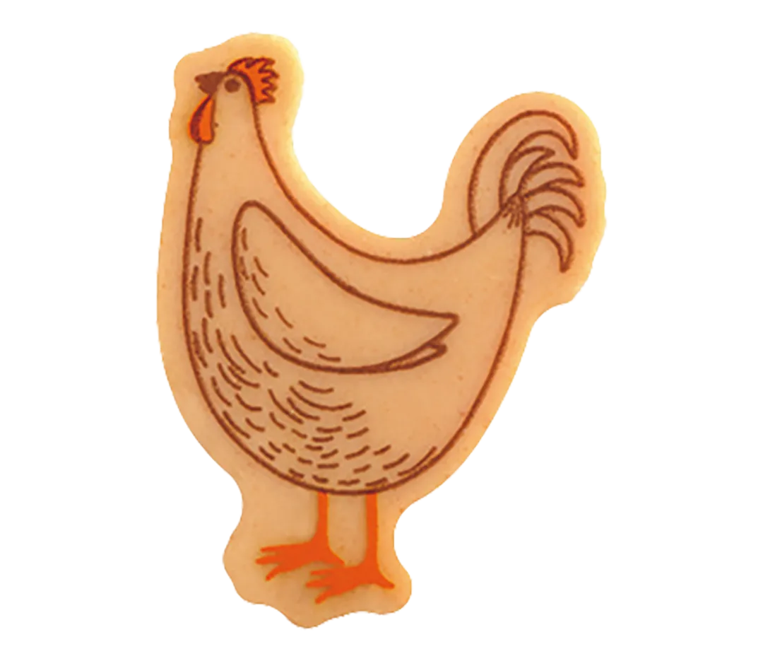 180 Poules CBC 4 designs