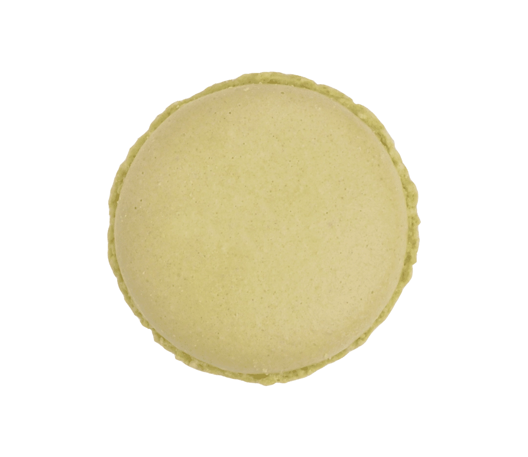 144 Coques macaron vert pistache - 7,5cm